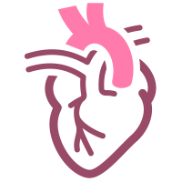 Ecocardiografia